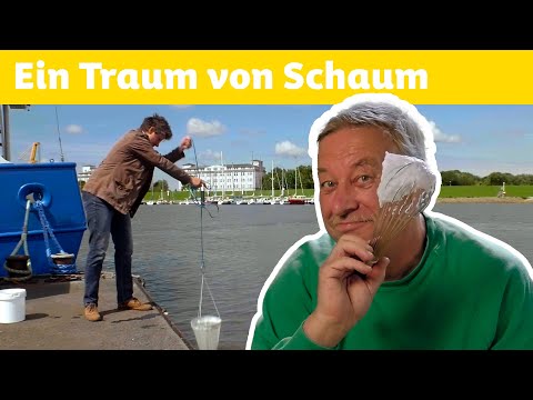 Wie entsteht Meeresschaum? | DieMaus | WDR