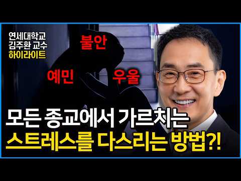 어떻게하면 스트레스를 다스릴 수 있을까?! 건강하고 오래사는데, '이것'이 필요하다?! (연세대학교 김주환 교수)