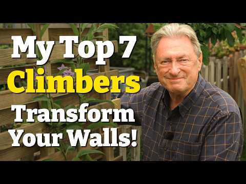 My Top 7 Climbing Plants for a Beautiful Garden – And How to Plant Them!