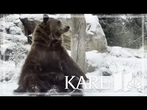 Let it snow: Many spent Wednesday enjoying the recent snow