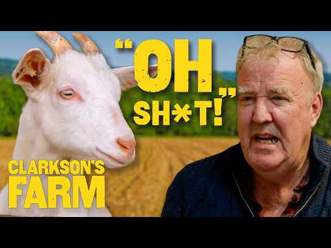 Clarkson's Farm Moments That Had Us In Stitches 🤣 | Clarkson's Farm