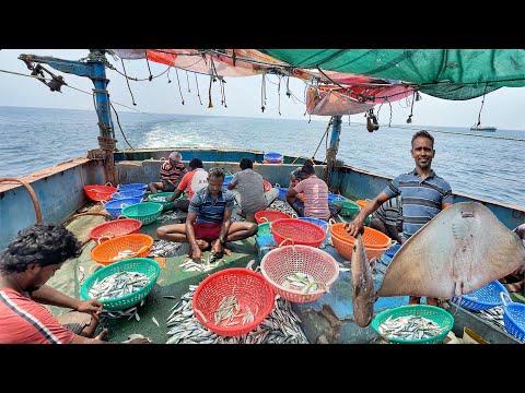 Wow‼️Deep Sea Fishing Gone Wild – HUGE Catch of the Day💢‼️