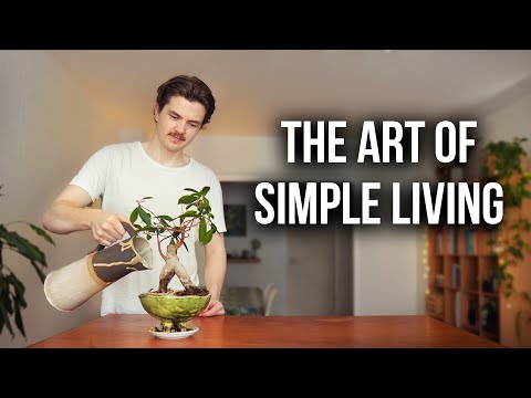 Why I Chose a Low‑Maintenance Life Over “Success”