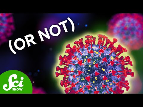 Everything You Didn't Want to Know About Viruses | Compilation