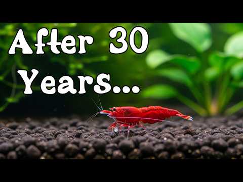 From NOVICE to EXPERT in 89 minutes!