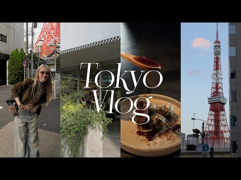 Tokyo Vlog 2025 Sep（上）｜東京推薦的手沖咖啡、壽喜燒、選品店｜我的逛街首選｜南青山最好逛的店家｜屏屏 Ping