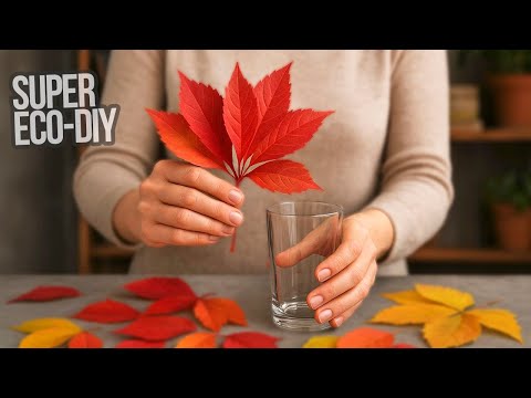 I took these leaves and a drinking glass, created something fantastic! It will win your heart!