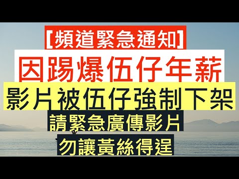 [頻道緊急通知]因踢爆伍仔年薪|影片被伍仔強制下架|請緊急廣傳影片|別讓小黃人得逞|井仔點睇
