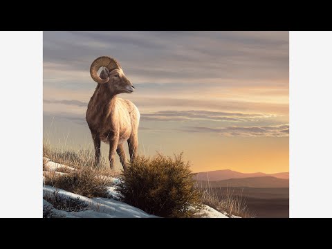 REALISTIC PAINTING - FUR TECHNIQUES, GRASS AND FOLIAGE, GLOWING SKY, BIGHORN SHEEP