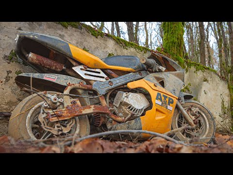 Forgotten Honda Pocket Bike Restoration - Full Process