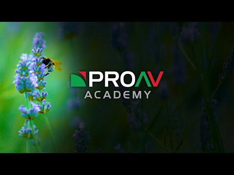 What is Gamma? | Tech Terms with Alister Chapman | ProAV Academy