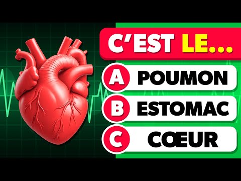 Connais-tu le CORPS HUMAIN...? 🧠 Culture Générale sur le Corps Humain et l'Anatomie 📚🧍