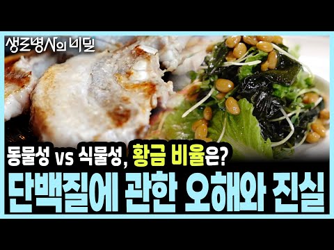 많이 먹어도, 안 먹어도 병이다! 왜? 통풍 부르고 근육 녹이는 단백질의 과잉 vs 부족 역설! I KBS 20170913 방송
