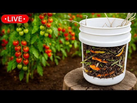 🔴How to Make Compost in Buckets + Recipe to Speed ​​It Up