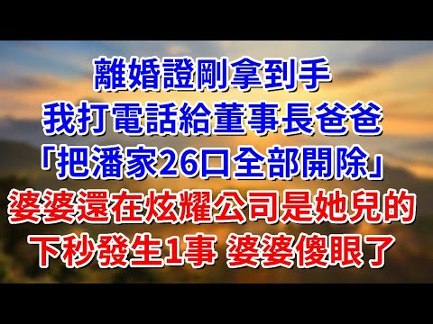 離婚證刚拿到手，我打電話給董事長爸爸「把潘家全家開除」婆婆還在炫耀公司是她兒子的，下秒發生1事 婆婆顿时臉色慘白！#阿木講故事#為人處世#生活經驗#情感故事#養老#睡前故事