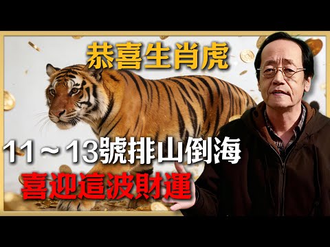 恭喜生肖虎！12月11～13號天降排山倒海的大喜訊！錯過這波財運，2026年哭都來不及！不點開後悔一整年！#倪海廈 #命理 #生肖 #運勢