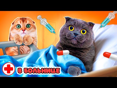 КОШЕЧКА БАТТЕРС и КОТЕНОК ПЕРСИК в БОЛЬНИЦЕ | Ставим УКОЛЫ и Проверяем СЕРДЦЕ