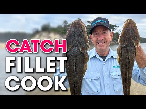 Flathead - Catch - FILLET - Cook! Delicious FISH TACOS!