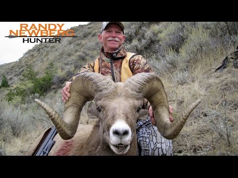 Hunting Montana Bighorn Sheep with Randy Newberg and friends - Missouri River Breaks (OYOA S2 E2)