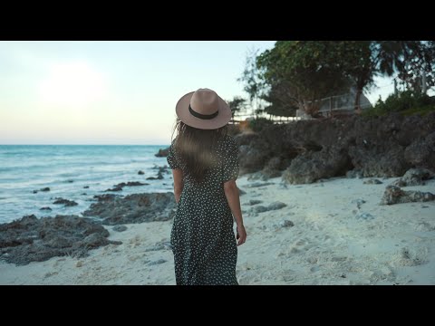 Melodic House Escape | RÜFÜS DU SOL, Adriatique, Meduza, Tinlicker, Massano | Visual Mix