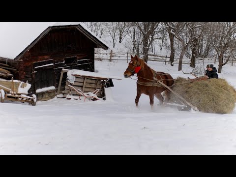 Beyond Civilization: 5 Days with a Large Family at the Edge of the World