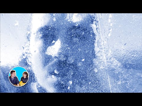 人體冷凍，目前永生的唯一選擇 | 老高與小茉 Mr & Mrs Gao