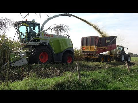 Mais hakselen met Claas Jaguar 940 en Fendt + de sleepkabel is weer nodig - Fa Fokkert (2019)