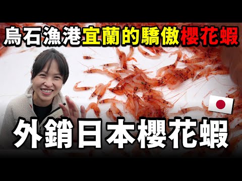 能夠外銷到日本的台灣櫻花蝦品質如何？宜蘭烏石漁港生產的櫻花蝦品質，不輸日本的喔！