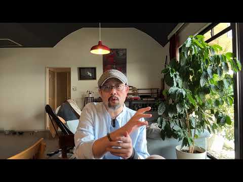 中央给了“合法抢劫”权：地方附加税一征收，中小企业、普通人的日子就更加难过了｜一税两费｜分税制｜土地财政｜