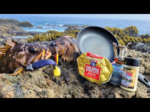 Catch and Cook Camouflage Fish on The Rocks