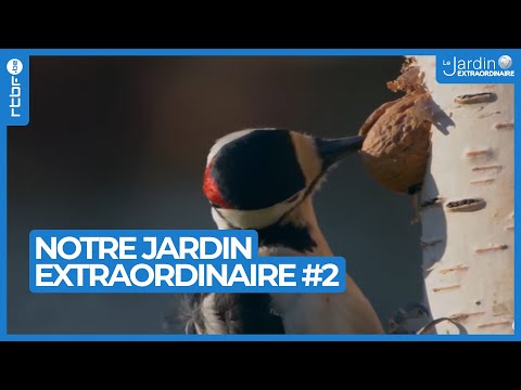 Votre jardin et les animaux sauvages !! - Notre Jardin Extraordinaire #2