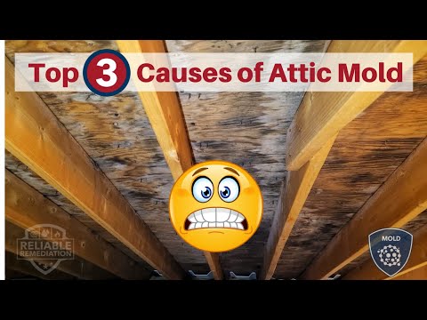 Top Three Causes of Attic Mold