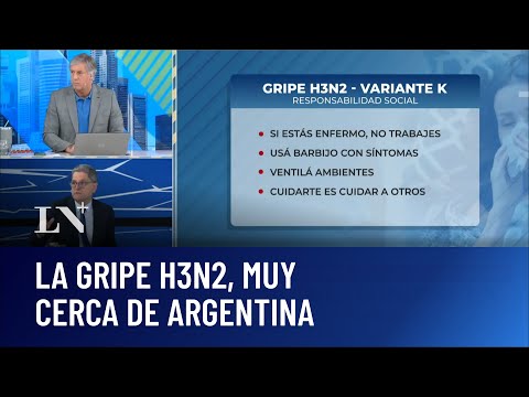 Gripe H3N2: la variante K, muy cerca de Argentina; el análisis de Tartaglione