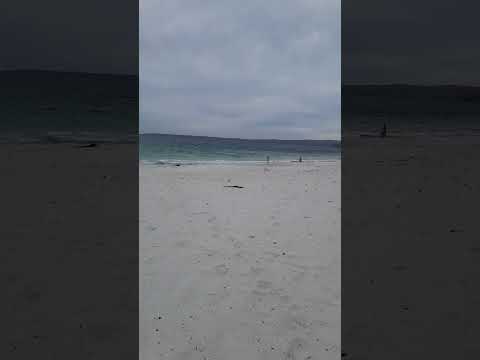 Hyams Beach, Jervis Bay..  is it really THE Whitest sand in the world?