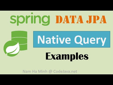 Spring Data JPA Native Query Examples