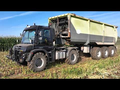 Großeinsatz Maishäckseln 2024  10 Fahrzeuge Lohnunternehmer im Einsatz farmer corn harvest Maisernte