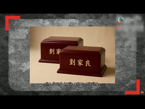 TVB News at 7:30｜4 Nov 2025｜HONG KONG English Latest NEWS｜