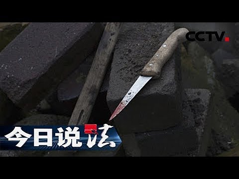 《今日说法》偏僻山村 独居女人遭人残杀死后被奸 凶手的特殊癖好成了破案关键 20150628 | CCTV今日说法官方频道