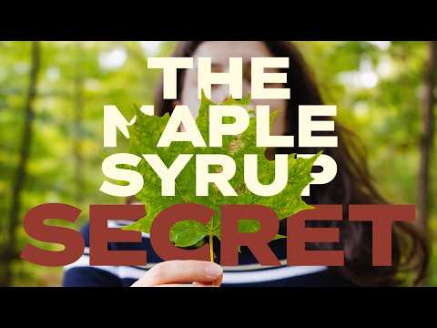 How Does Vermont Produce 3 Million Gallons of Maple Syrup — and What Makes It Expensive?
