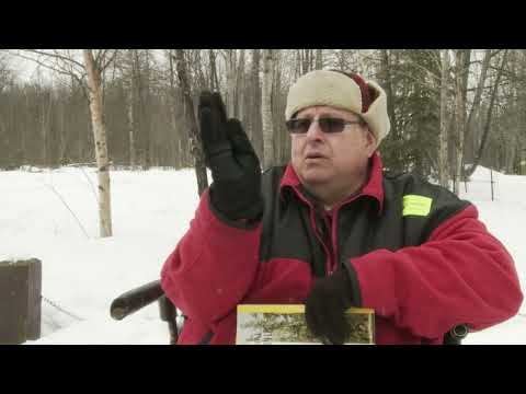 ‘There are impressions that are seared into my brain’: Man recalls 1964 quake, tsunami in Valdez