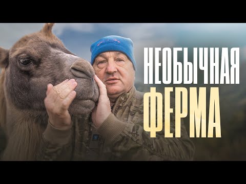 Amazing farm in Russia.