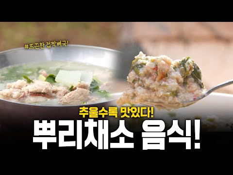 ❄️겨울❄️엔 이렇게 먹어보세요! 겨울에 가장 맛있는 뿌리채소🥕 음식 모음! | KBS 250213 방송