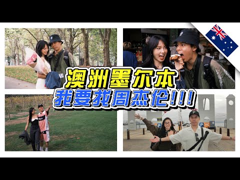 🇦🇺原来袋鼠那么可爱！终于可以近距离看见它们了！- //澳洲/墨尔本//