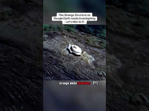 Spotted something strange hidden in the jungle of Sri Lanka! 😱 #hiking #adventure #outdoors