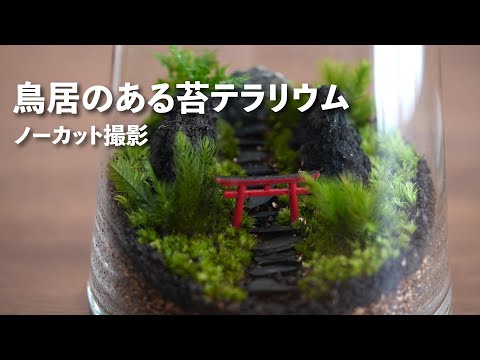 Moss Terrarium with a Torii Gate