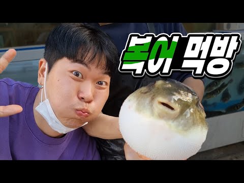 선응이형 생일 기념 170,000원 짜리 복어 먹방!!