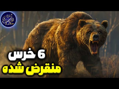 آشنایی با خرس های منقرض شده