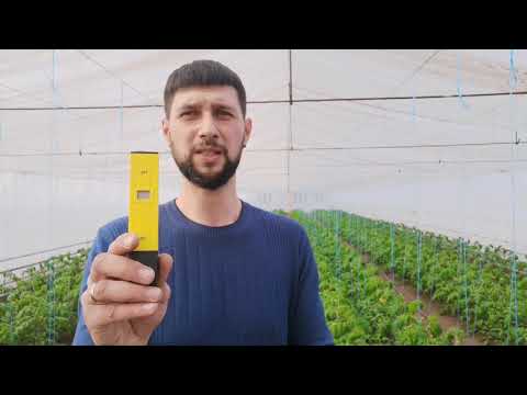 Подкормки томатов по фазам развития и электропроводность питательного раствора!