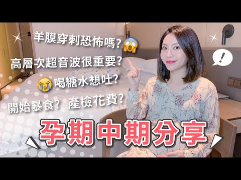 懷孕中期分享 | 真的有必要做羊膜穿刺、高層次超音波 、妊娠糖尿嗎? 產檢又花了多少? 【👨‍👩‍👦PIN命愛媽咪👶】