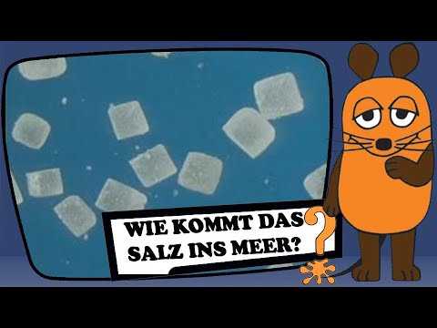 Wie kommt das Salz ins Meer?